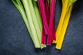 Swiss rainbow chard, vibrant vegetable Royalty Free Stock Photo
