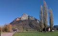 Spring poplars against a backdrop of the Gonzen