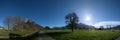 Spring trees against a backdrop of the Gonzen, Falknis and Vilan