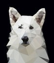 Swiss Shepherd Dog Low Poly