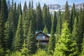 swiss-style chalet nestled amongst tall spruce trees