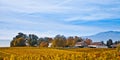 Swiss Vineyard And Farmhouse Royalty Free Stock Photo