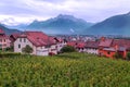 Swiss vineyards with mountains