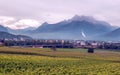 Swiss vineyards with mountains