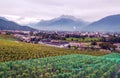 Swiss vineyards with mountains