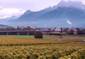 Swiss vineyards with mountains
