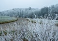 Swiss winter landscape