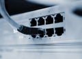 Switch with networking cable
