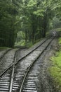 Switchback train tracks in the forest