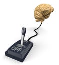 Switched on human brain