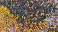 Switzerland, Aletschgletscher, Alaica Glacier, aerial photography, glaciers