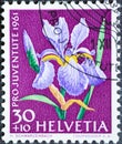 Switzerland - Circa 1961 : a postage stamp printed in the swiss showing a blue flower of an iris