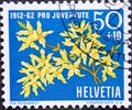 Switzerland - Circa 1962 : a postage stamp printed in the swiss showing a branch with yellow forsythia Forsythia europaea