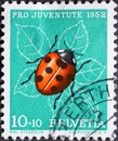 Switzerland - Circa 1952 : a postage stamp printed in the swiss showing a ladybug Coccinella septempunctata on rose petal