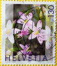 Switzerland - Circa 2003 : a postage stamp printed in the swiss showing some flowers of the centaury medicinal plant. Text: Centau