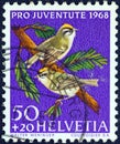 SWITZERLAND - CIRCA 1968: A stamp printed in Switzerland from the `Pro juventute charity stamps` issue shows Eurasian jay birds