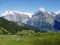 Switzerland, Grindelwald and the Wetterhorn Royalty Free Stock Photo