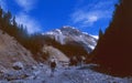 Switzerland: Hikers walking in a dry river bed up to the mountains in the swiss national park