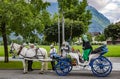 Horse Carriage entertainment on Hoheweg main street