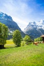 Switzerland landscape Royalty Free Stock Photo