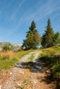 Switzerland in the mountains Royalty Free Stock Photo