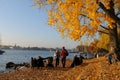 Switzerland: people enjoying autumn colors at Lake ZÃÂ¼rich