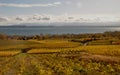 Switzerland: The wine-yards along Lake Neuchatel in the french p Royalty Free Stock Photo