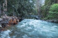 The swollen Merced River in Spring, Yosemite National Park Royalty Free Stock Photo