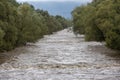 A swollen river after heavy rainfall Royalty Free Stock Photo