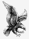 Swooping Eagle