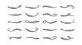 Swoosh line vector icon, underline swash, stroke swish swirl, curly hand drawn text calligraphic brush tail, black fireworks set.