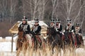 Sword armed cavalry Royalty Free Stock Photo