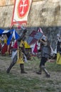 Sword fight between knights in fair Royalty Free Stock Photo