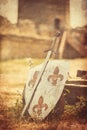 Sword and shield Royalty Free Stock Photo