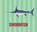 Swordfish - drawing on green background.