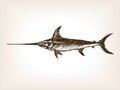 Swordfish hand drawn sketch vector