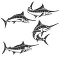 Swordfish icons isolated on white background. Vector illustration.