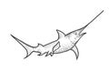 Swordfish sketch engraving vector illustration Royalty Free Stock Photo