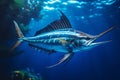 Swordfish in a stunning underwater of open ocean. Royalty Free Stock Photo