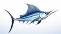 Swordfish Vector Illustration On White Background