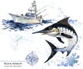Swordfish. watercolor Marlin illustration.