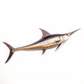 Swordfish, Xiphias gladius, large fish, illustration for animal encyclopedia. Generative AI