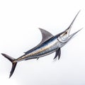 Swordfish, Xiphias gladius, large fish, illustration for animal encyclopedia. Generative AI