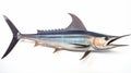 Swordfish, Xiphias gladius, large fish, illustration for animal encyclopedia. Generative AI
