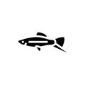 swordtail fish glyph icon vector illustration