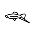 swordtail fish line icon vector illustration