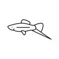 swordtail fish line icon vector illustration