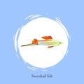 Swordtail Fish in White Circle Isolated on Blue