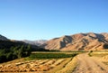 Syadara, Bamiyan Province, Afghanistan: Mountain scenery and field Royalty Free Stock Photo