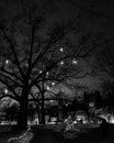 Syan Hywett Hall & Gardens in black & white and decorated for Christmas